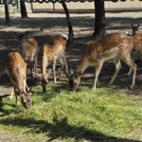 ciekawe miejsca polecane na
wycieczkę klasową szkolną