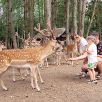 ciekawe_miejsca_polecane_na_wycieczkę_klasową_szkolną (1)