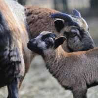 ciekawe miejsca polecane na
wycieczkę klasową szkolną