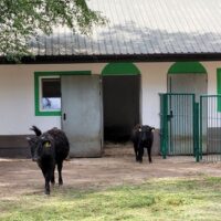 Atrakcje Dzień Dziecka 2025 Radomsko Bełchatów Piotrków Częstochowa (52)