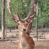 Ootwarcie Malutkie Natura Park (6)