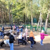 Ootwarcie Malutkie Natura Park (7)