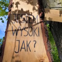 Otwarcie Malutkie Natura Park (25)