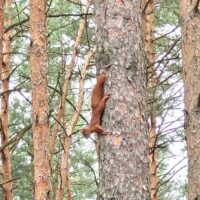 Otwarcie Malutkie Natura Park (8)